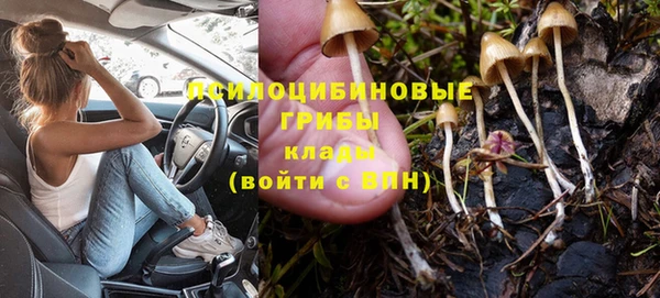 герыч Каменногорск