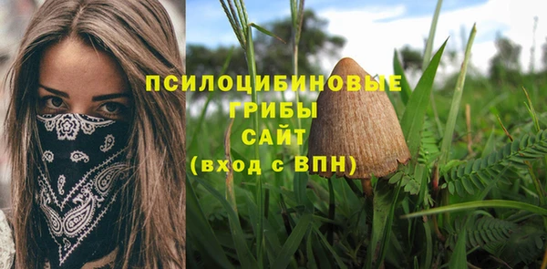 ПСИЛОЦИБИНОВЫЕ ГРИБЫ Каменск-Шахтинский