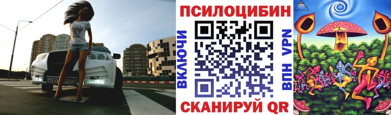 Купить  Лениногорск  Галлюциногенные грибы Magic Shrooms 